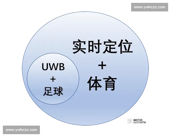 全球体育组织协同发展与多领域竞技交流策略研究