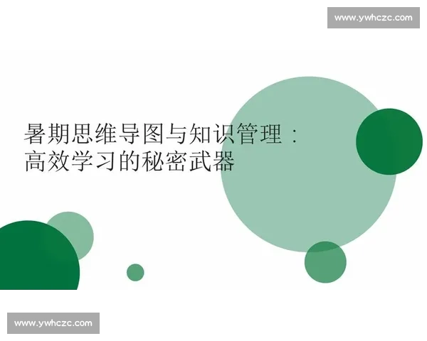 提升学习效率的实用训练方法与效果评估全解析