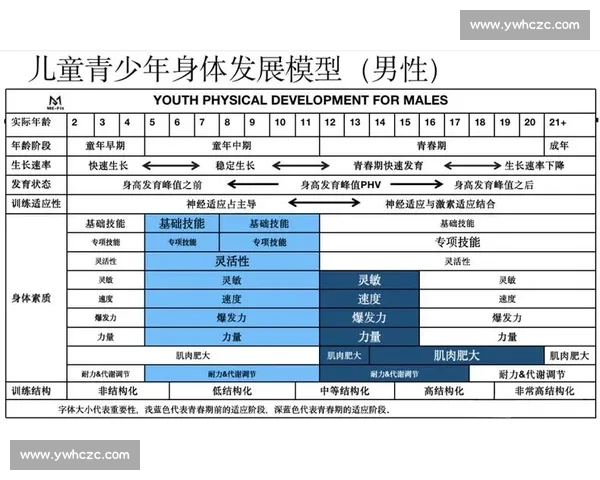基于体育健康评估的个体体质与运动能力综合研究与分析